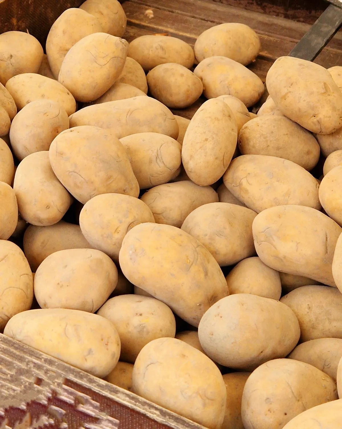 Patates
