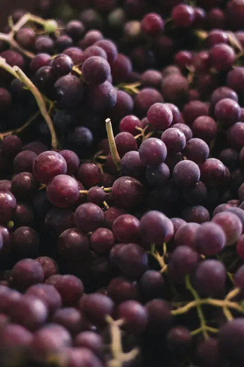 عنب